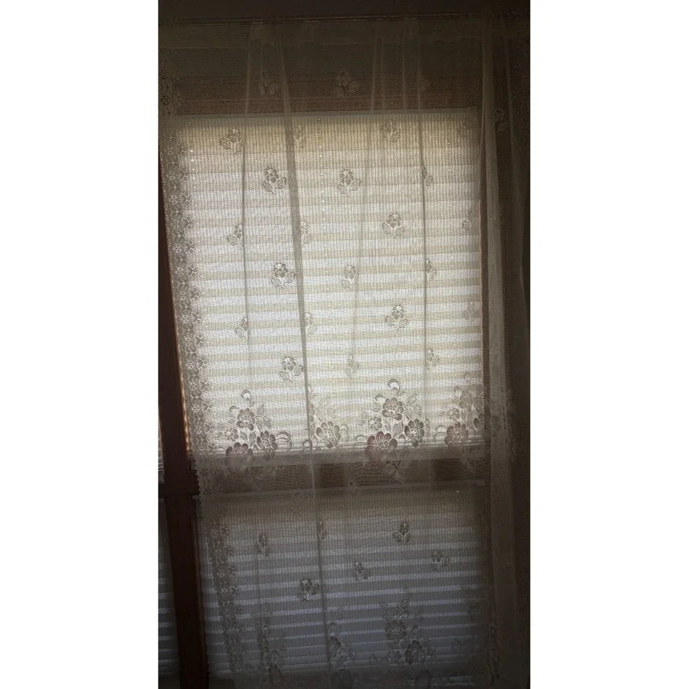 Vintage Ivory Lace Sheer Window Curtain Panel Pink Floral Cottage Shabby Chic (2